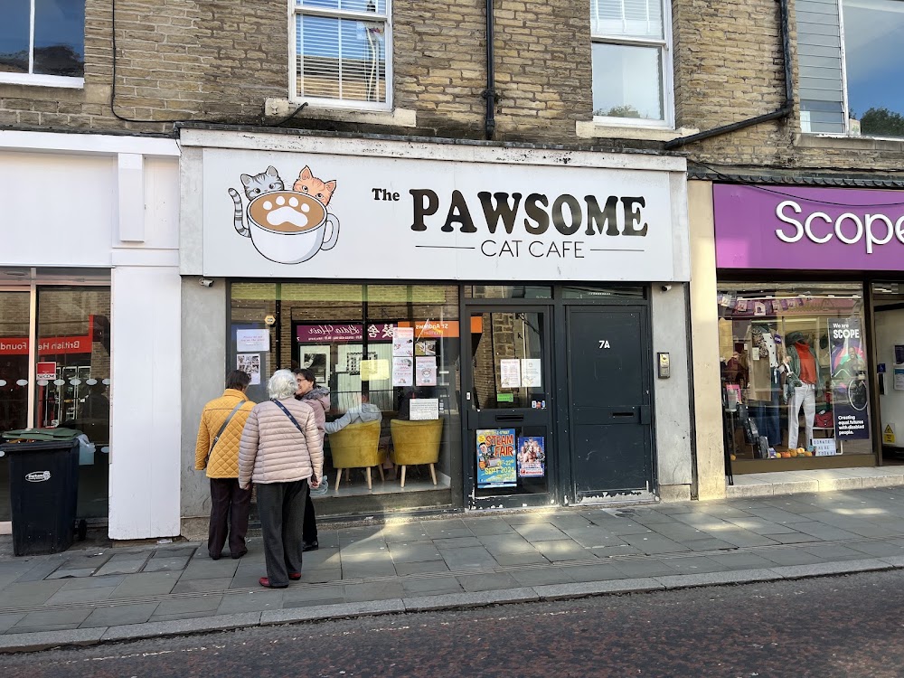 The Pawsome Cat Cafe