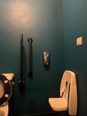 Contrasting grab rails and a child seat