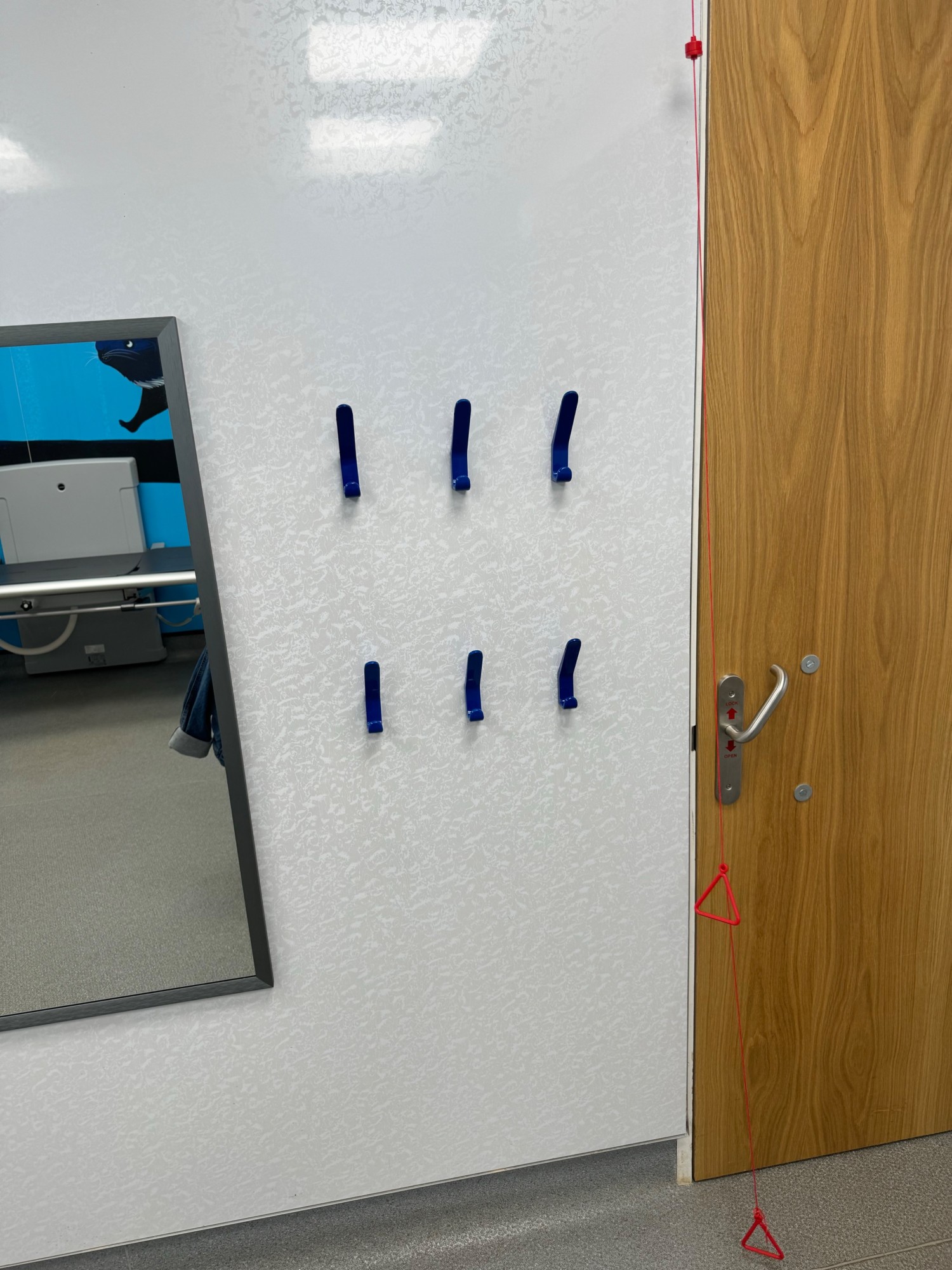Seated level hooks and standing height hooks to the right of the door