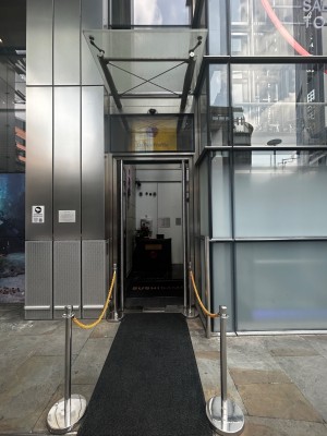 Double glass door. Pull to open. Queue dividers and black rug before entrance leading path ahead. Reception counter straight ahead.