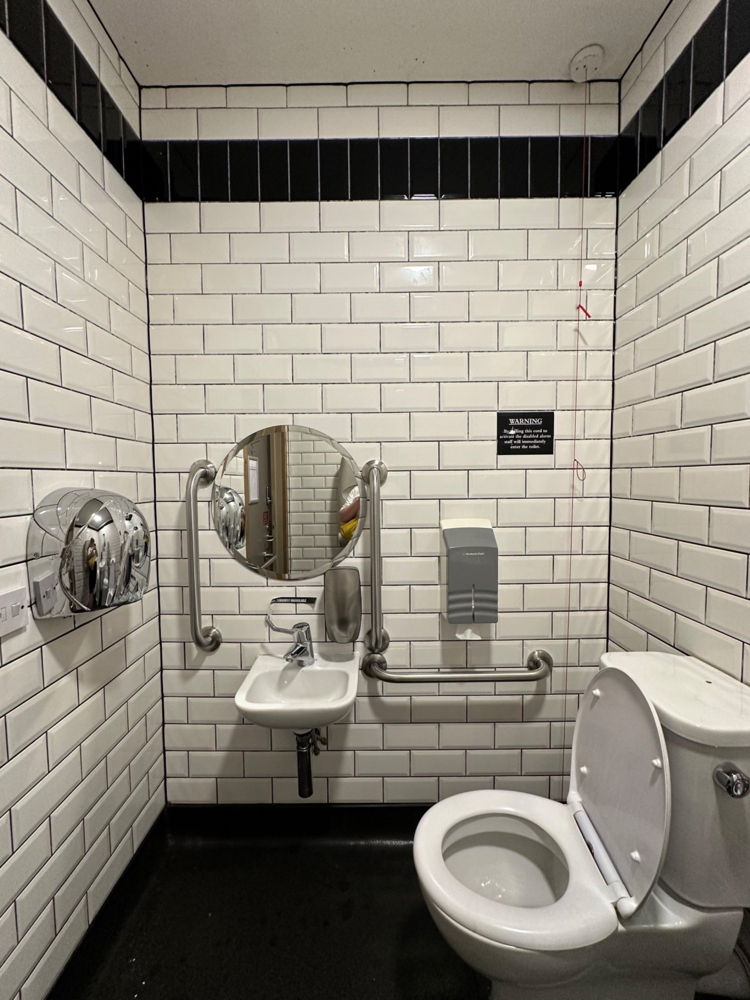 From door, facing left. Lowered sink ahead to left. Toilet ahead to right.