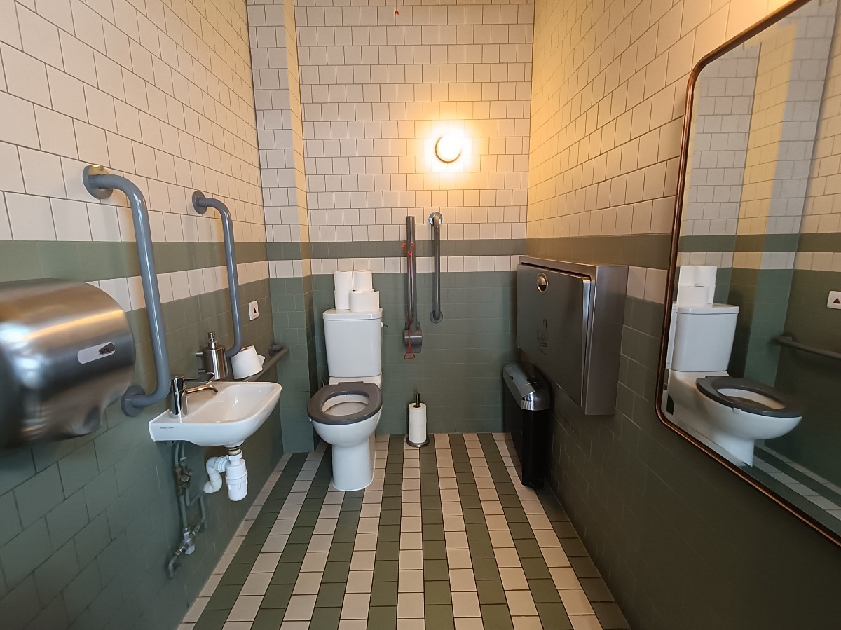 From doorway, looking straight. Sink on left. Toilet at back. Emergency pull cord to it's right. Baby change on right. Path in middle.
