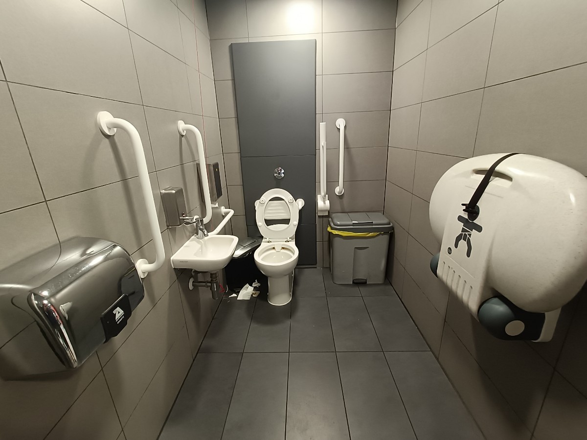 From doorway, looking straight. Sink on left. Toilet at back left. Emergency cord to it's left. Baby change on right. Path in middle.