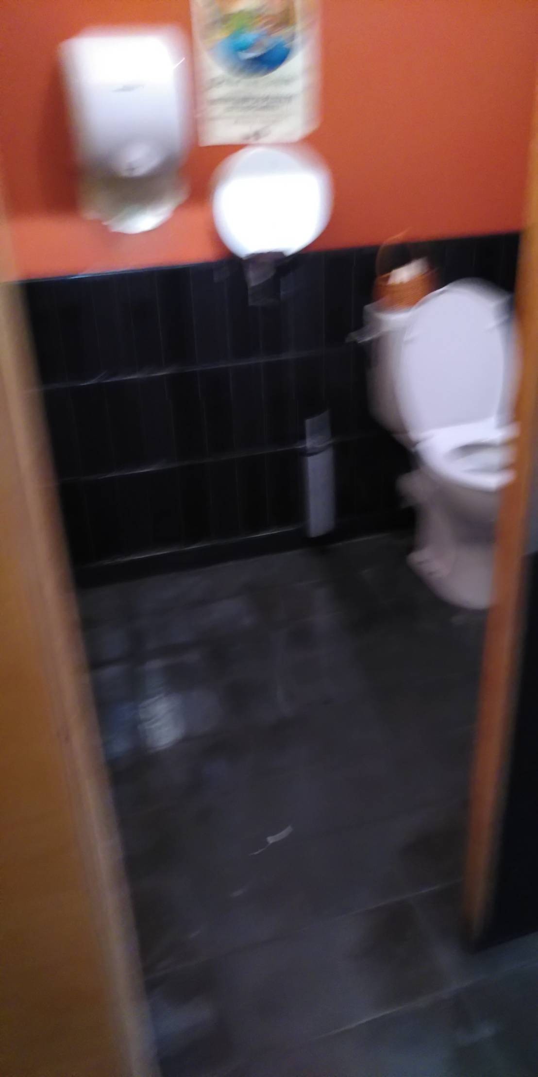 Poor photo of toilet area showing room to get in with wheelchair