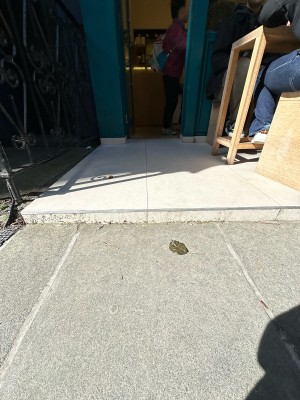 Step up before entrance and outdoor seating.