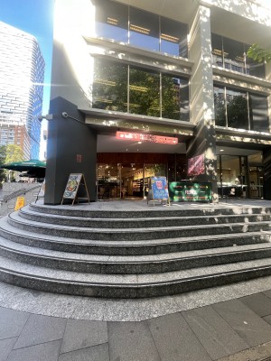Staircase to entrance. 6 steps up to floor. Handrails on far left and right ends of steps.