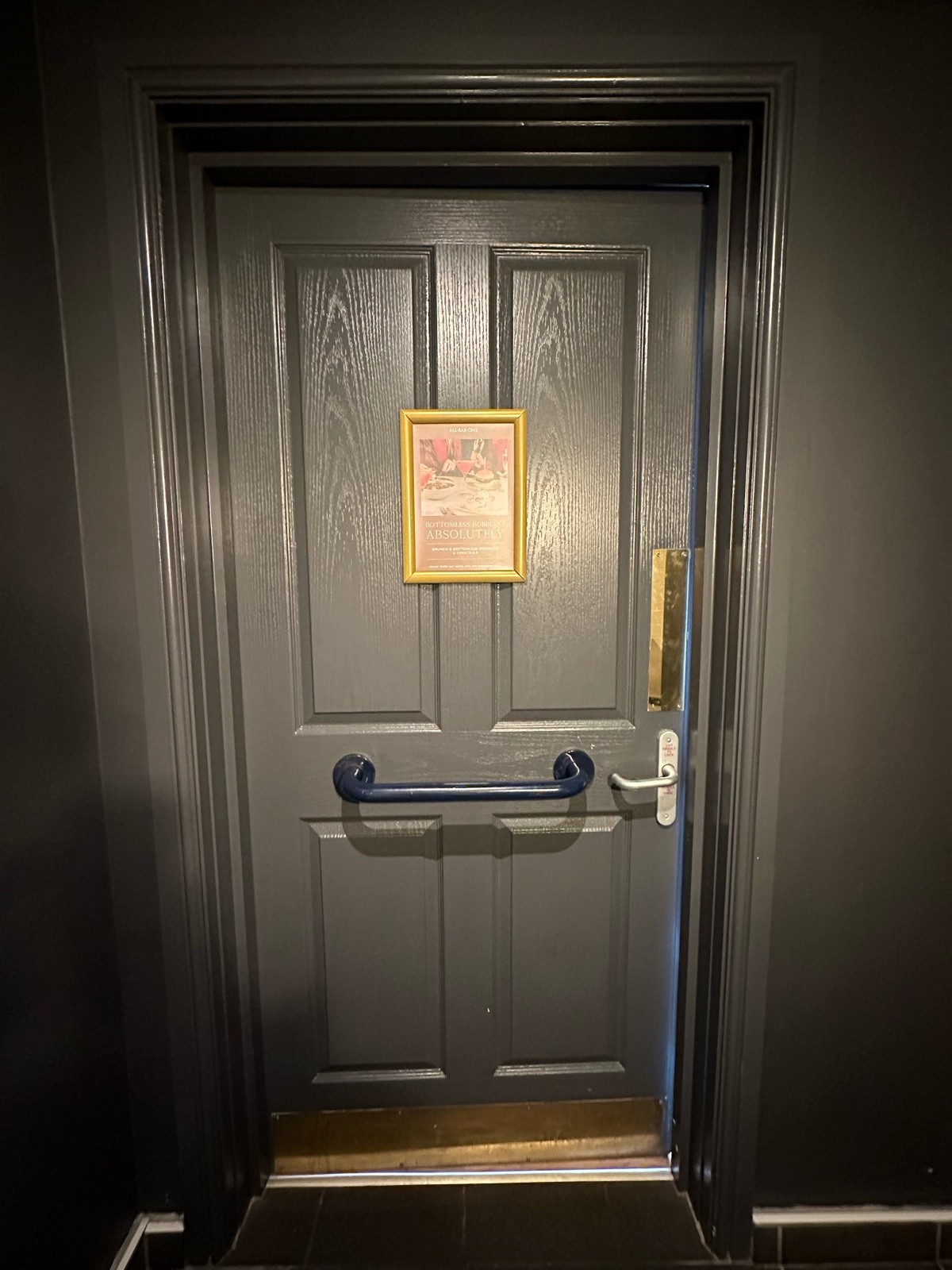 Back of grey bathroom door. Blue grab rail across centre of door. Silver turn lock on right, gold panel above it. Push to open.