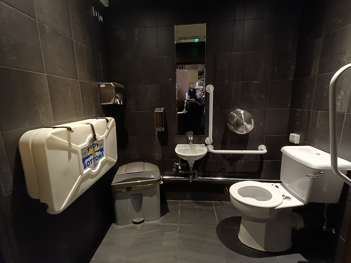 From doorway, looking straight. Baby change on left. Sink at back. Toilet on right. Emergency cord to it's left. Path in middle.