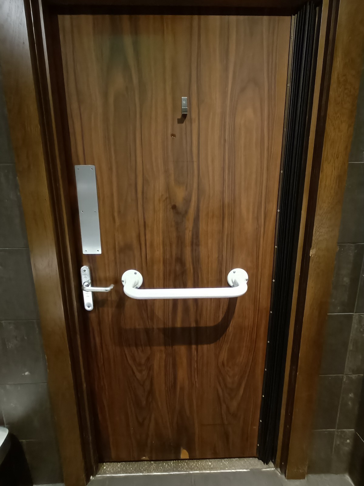 Back of bathroom door. White, metal handle in middle. Silver lock on left.