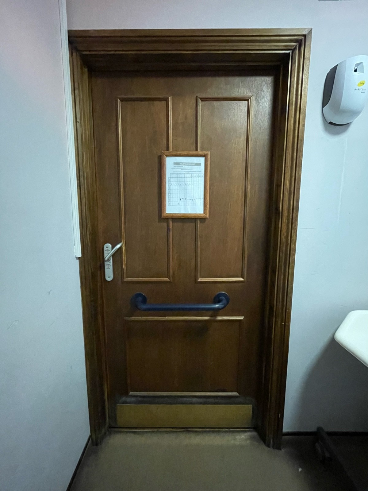Back of wooden toilet door. Blue grab rail along centre. Push silver turn handle on left to open.