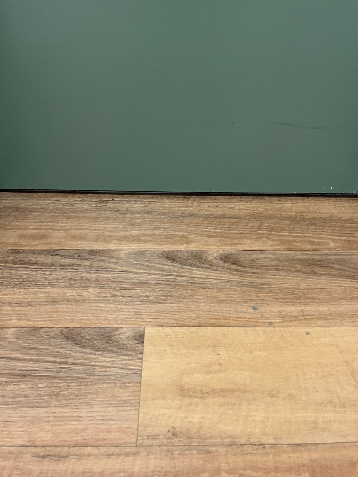 Small built in ramp up through door.