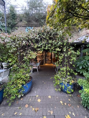 From sidewalk facing venue. Floral archway ahead. Path to entrance behind. Seating along both sides of path.