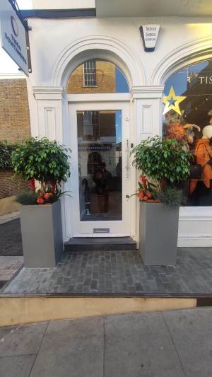 Single glass door in white wooden frame. Push silver metal handle on right to open. Planters either side.