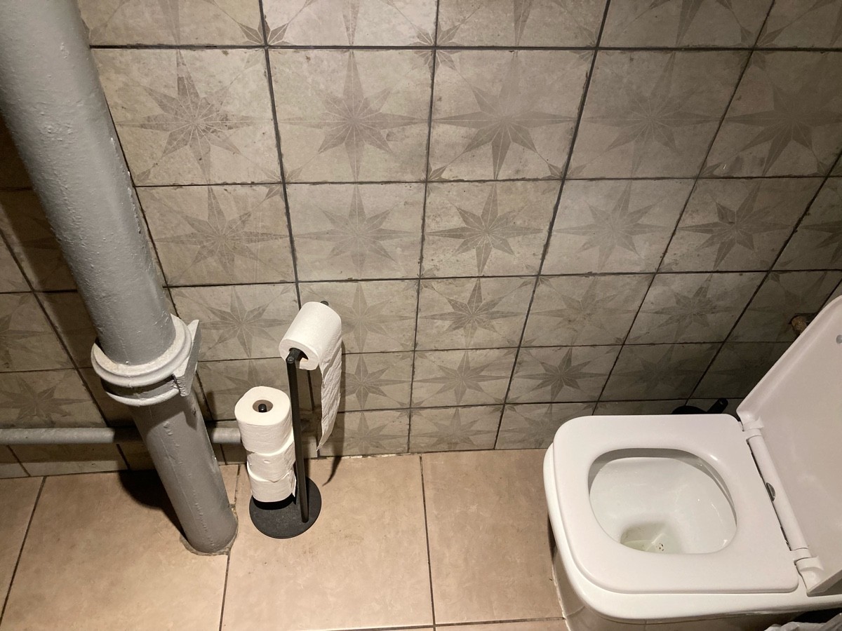 From door, facing straight. Toilet on right wall.