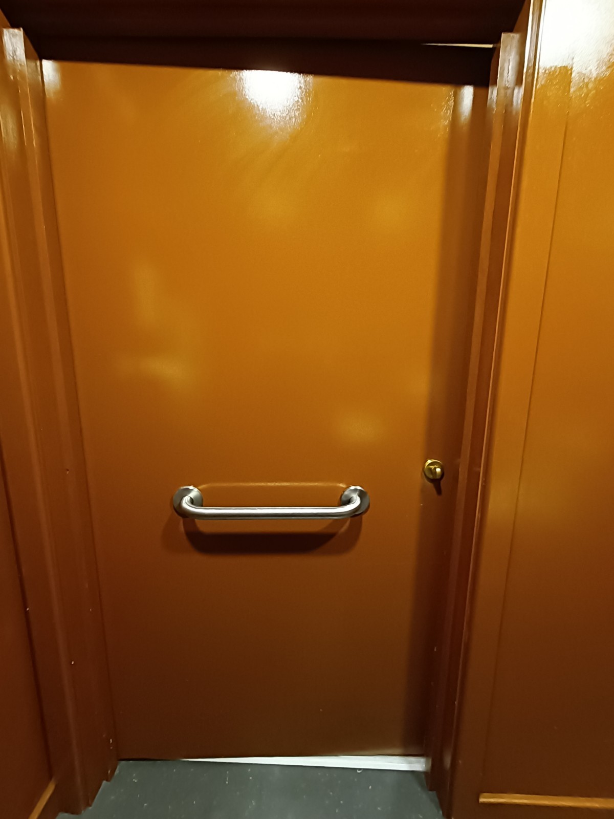Back of bathroom door. Silver, metal grabrail in middle. Golden, metal lock on right.