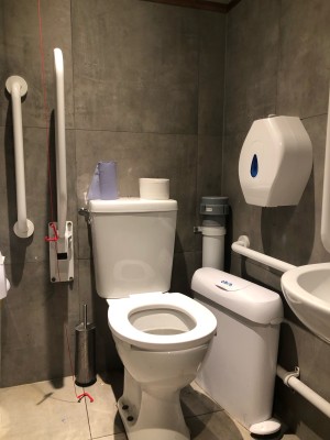 Toilet up against wall with sanitary bin between toilet and wall, red emergency cord is hanging loose