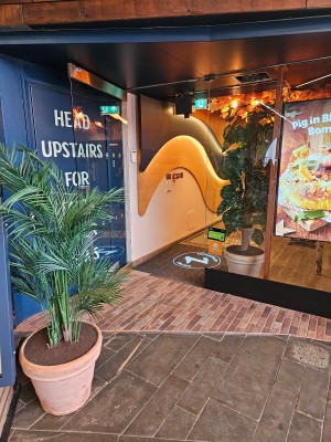 From the street, a single wide glass door, chained open on the left. Plant obstruction.