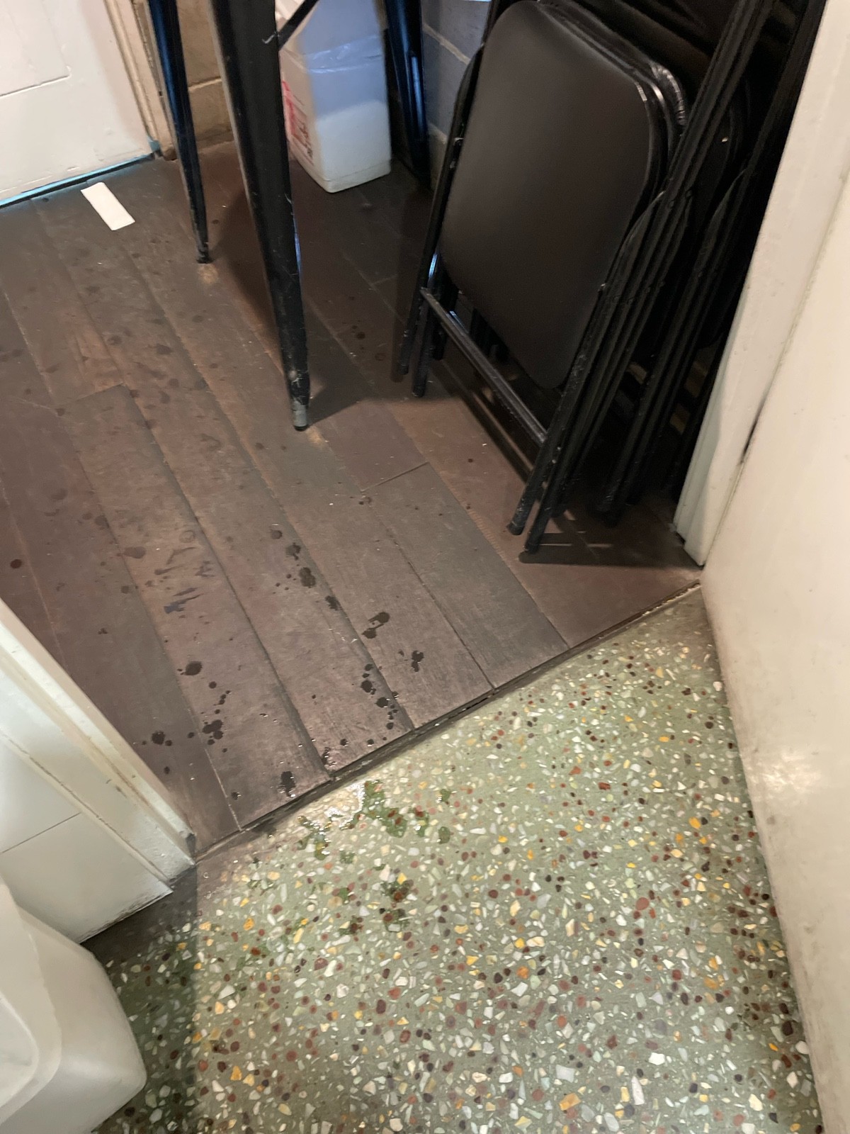 Terrazzo floor and dark timber floors also