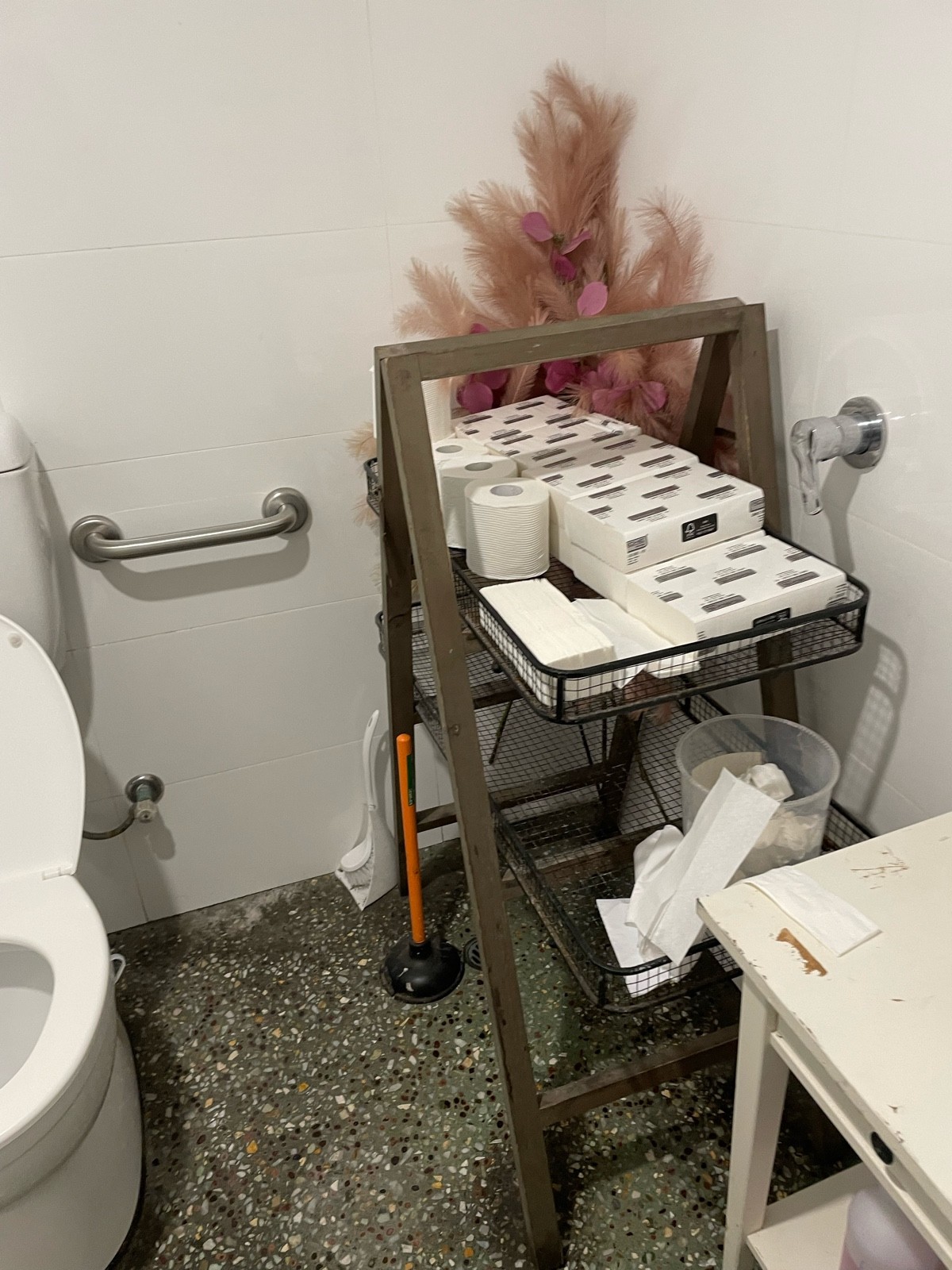 Cluttered toilet