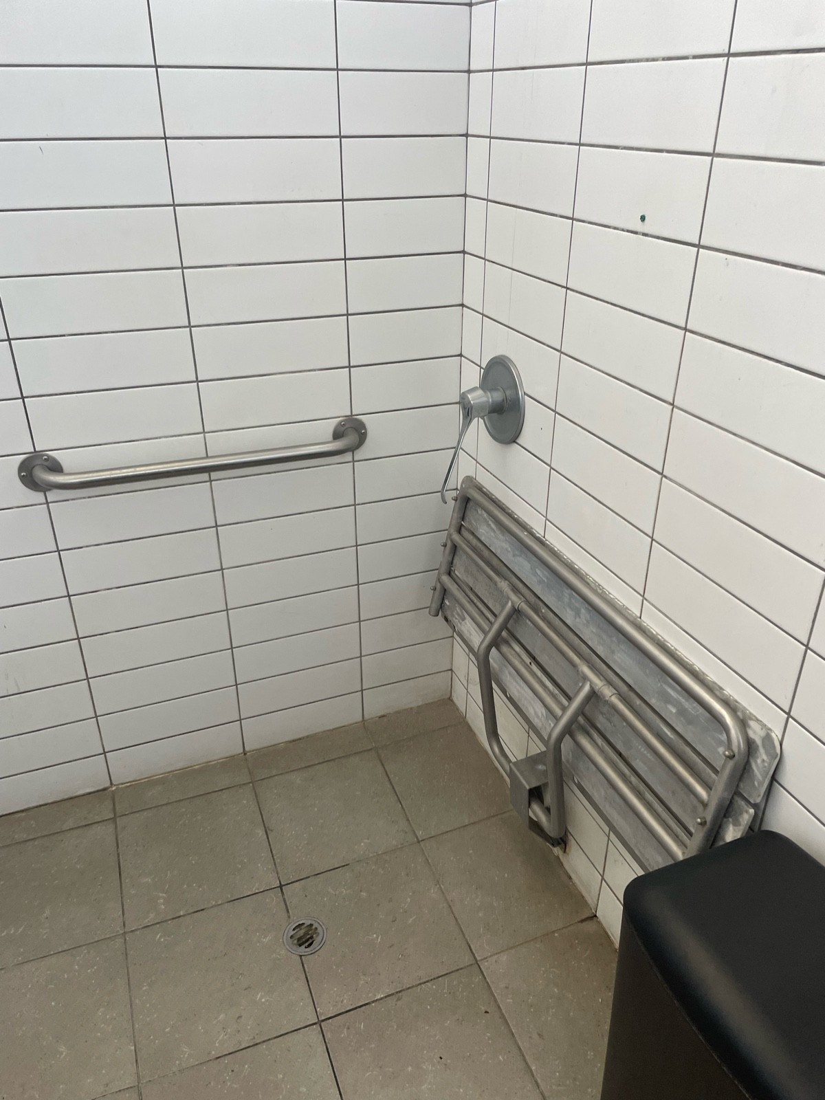 Hand rails & shower area