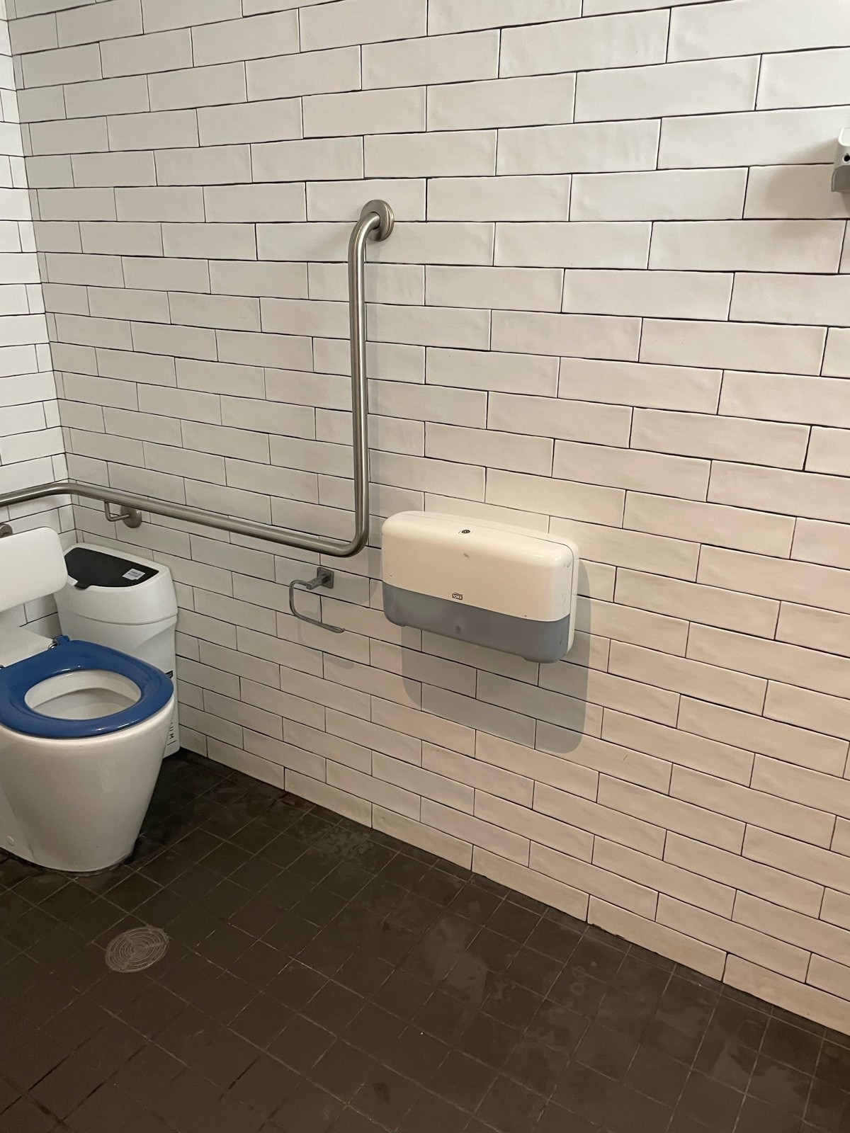 Toilet and grab bars