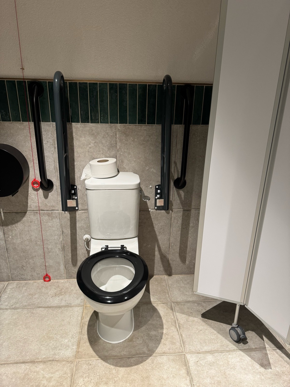 Toilet grab rails both sides toilet roll on the back of the toilet emergency cord on the right hand side