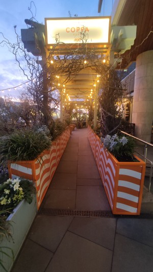From pavement facing venue. Built in ramp slopes up ahead. Planters on either side of it.