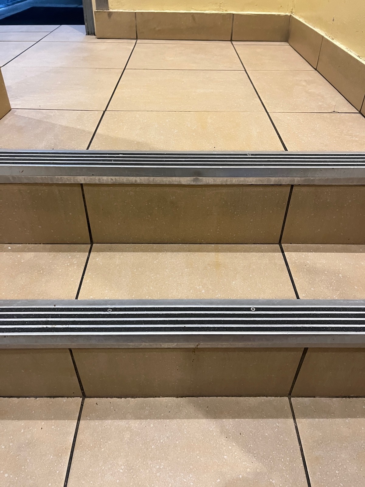 Two steps up after door. Handrail on left.