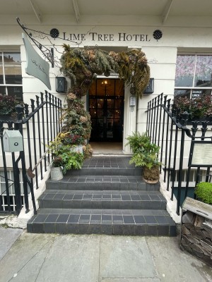 From pavement facing venue. Four steps up ahead. Metal railings along both sides. Planters on left and right of steps.