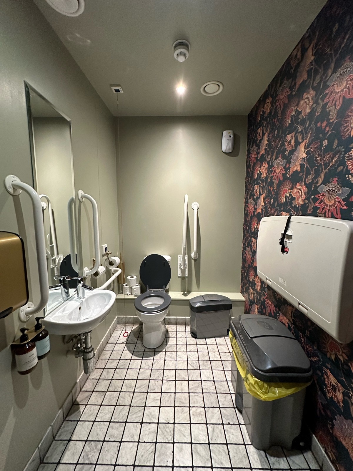From door facing straight. Sink to left. Toilet to back left. Emergency cord to its left. Baby change to right.