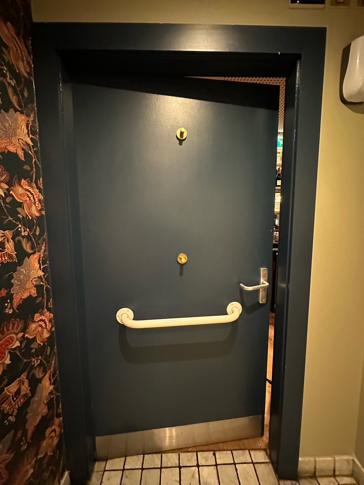 Back of door. Hooks and white grab rail in centre. Push handle from right to open.