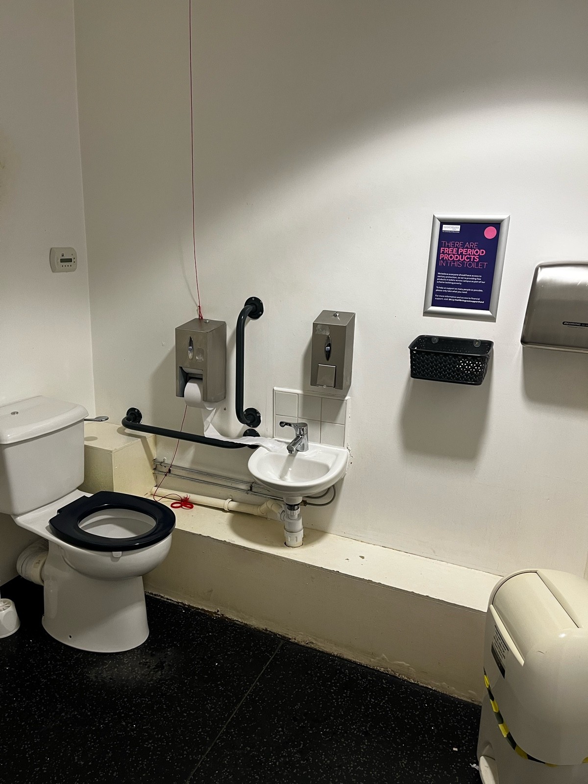 Inside bathroom: Toilet and sink on the left side. Sanitary pads and hand dryer on the right at a height. Wall is raised where the sink is.