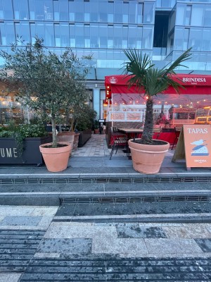 From pavement facing venue. 3 steps ahead lead to opening. Planters to left and right.