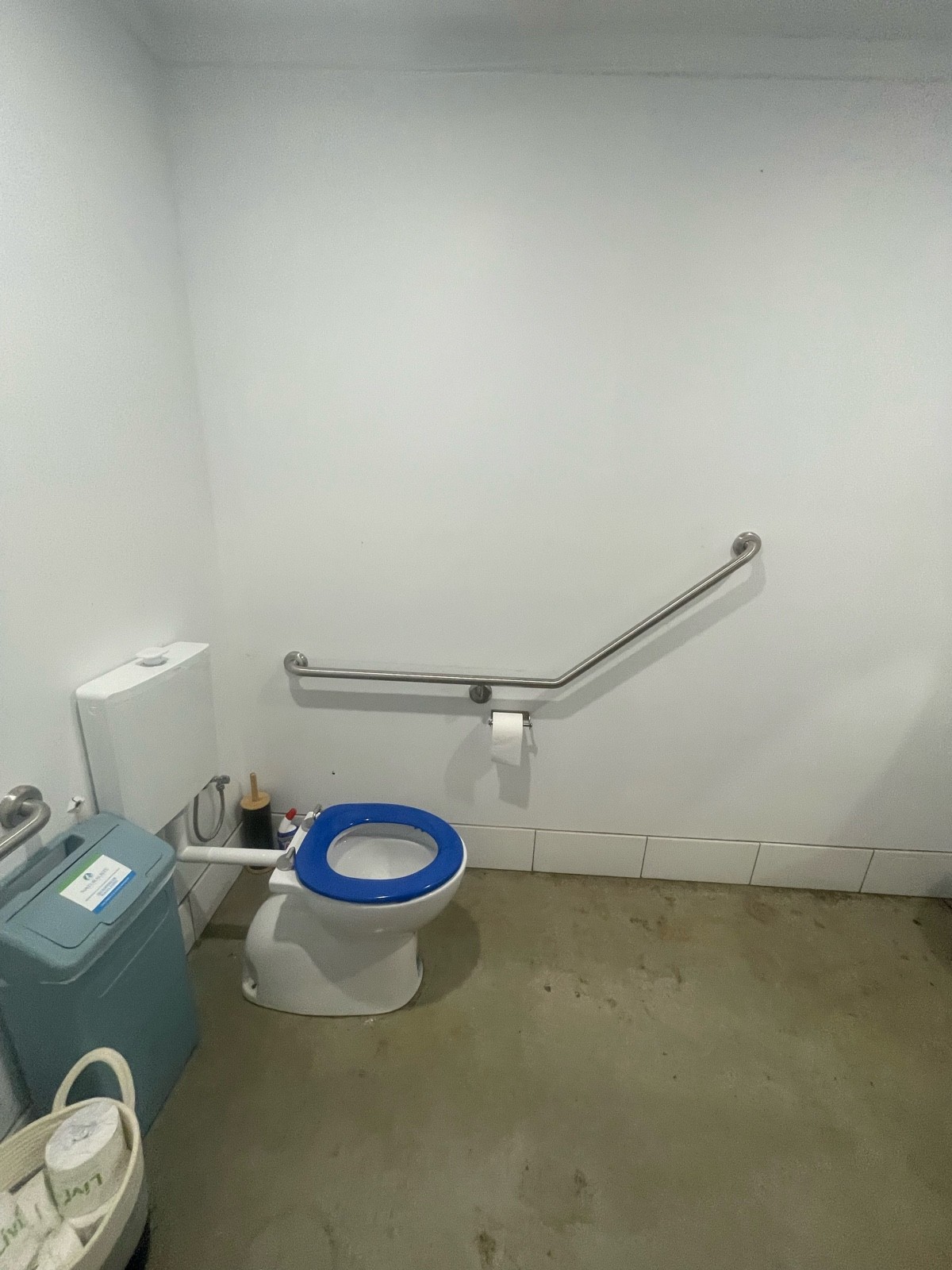 Accessible toilet with handrails