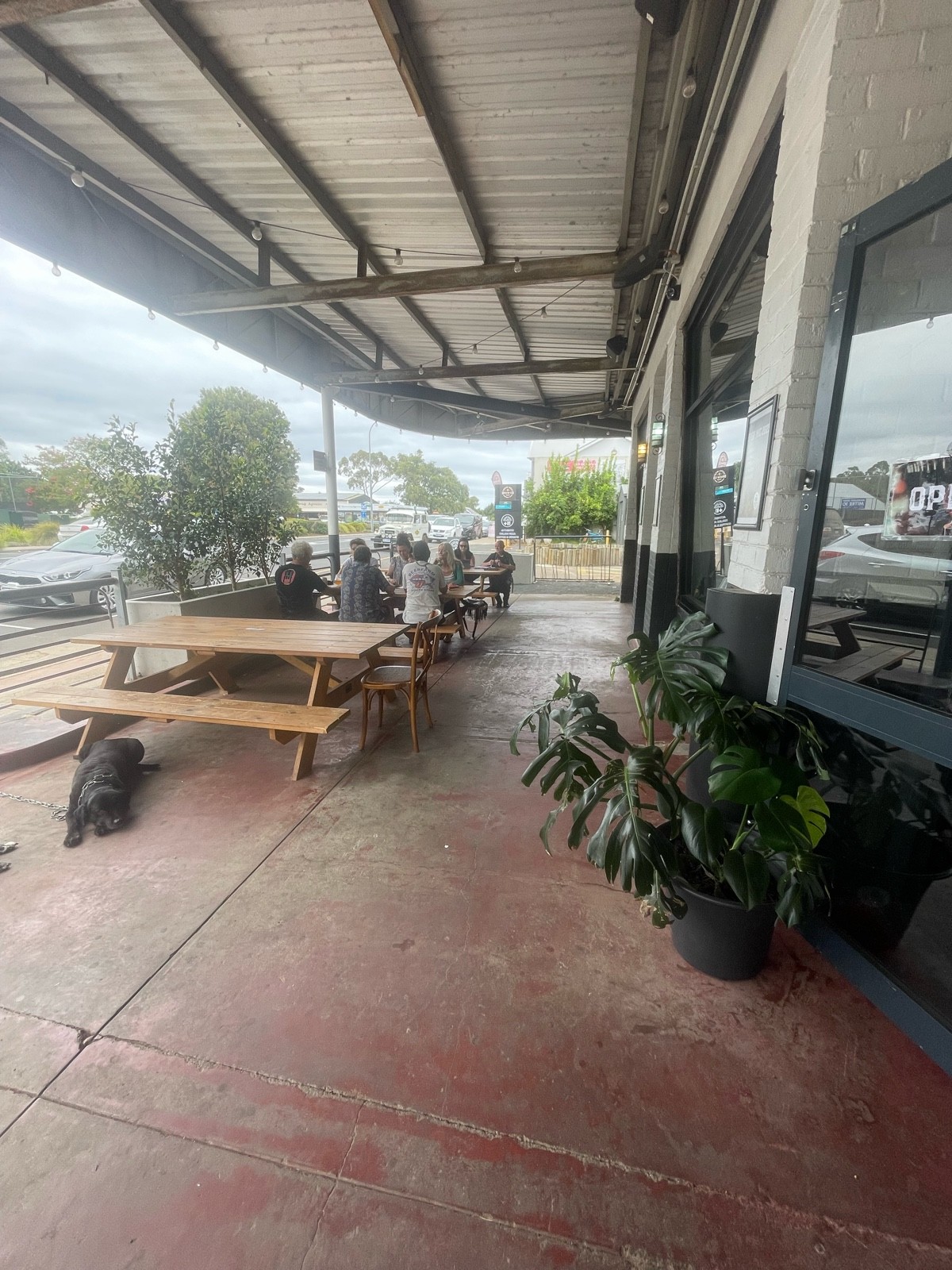 Wooden picnic tables go right with area to accommodate dogs