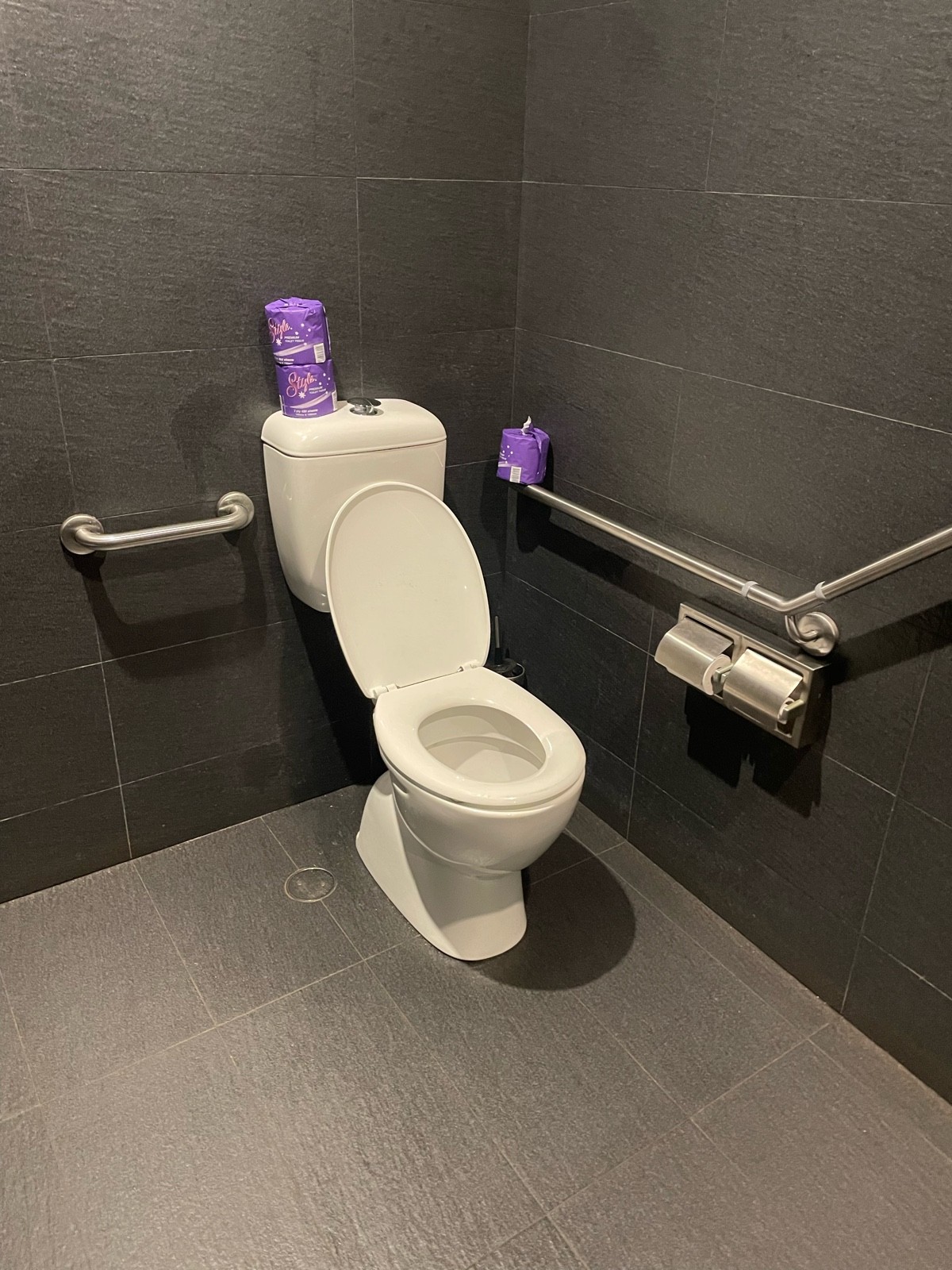 Toilet LHS transfer with grab rails