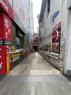 Path to entrance from street. Ramp down ahead.
