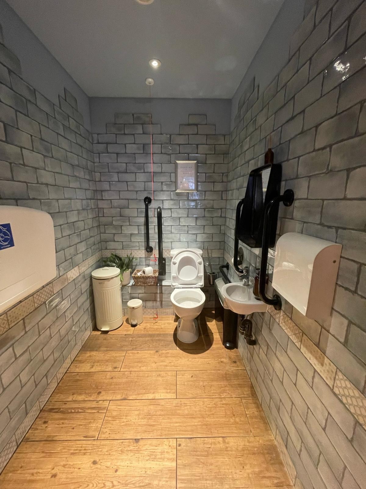 From door facing straight. Baby change table on left. Sink on right wall. Toilet on back wall, emergency pull cord to left.