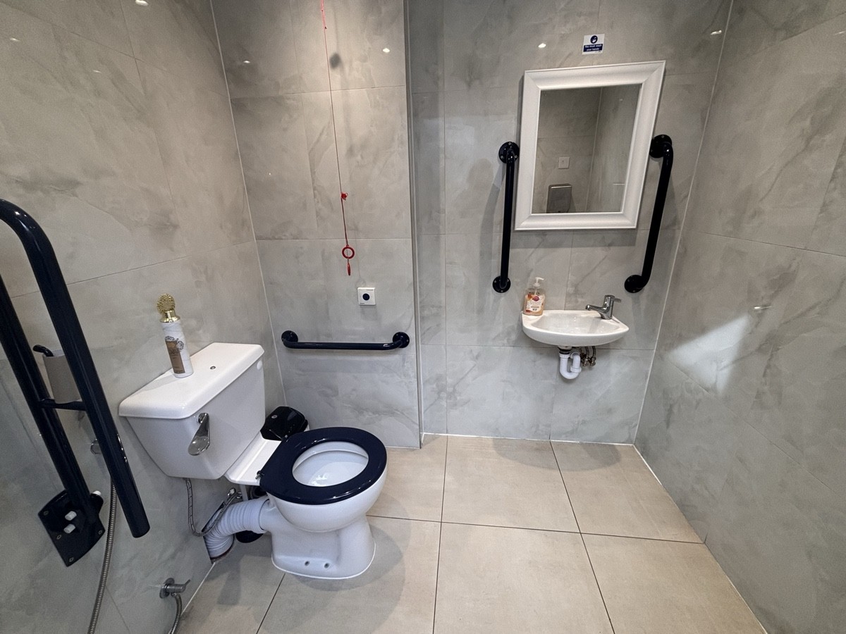 From door facing straight. Toilet on left. Emergency pull cord to its right. Sink at back right.