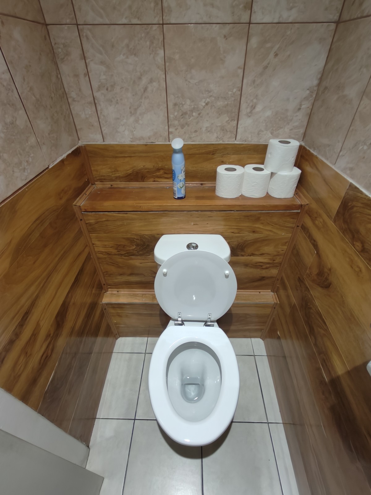 From door facing left. Toilet at back.