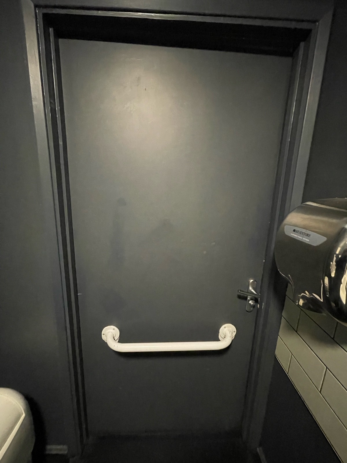 Back of toilet door. Push sliver handle on right. White grab-rail along center.