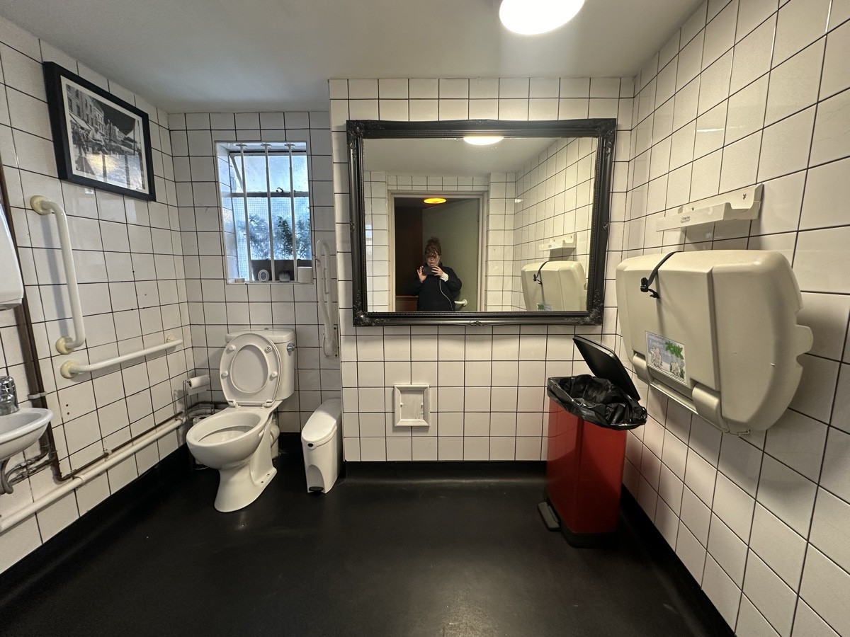 From door facing straight. Baby change to right. Toilet to back left.