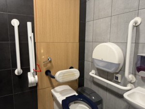 Accessible toilet but behind locked door have to ask staff but secure grab rails
