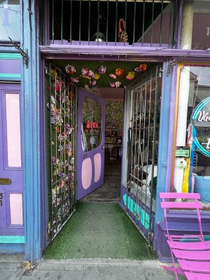 Photo of Freida Mo's