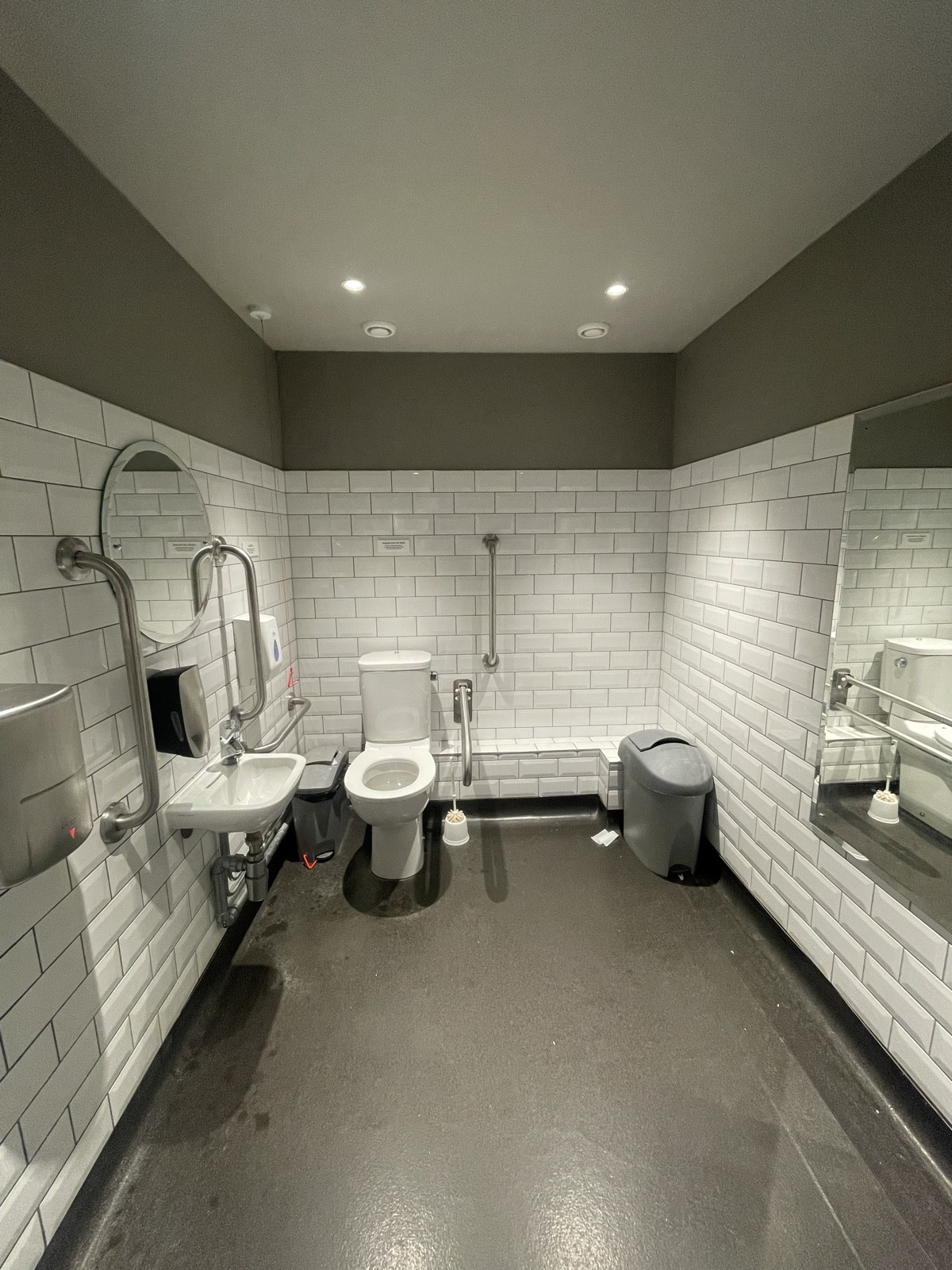 From door facing straight. Toilet at back left. Emergency cord to its left. Sink on left wall.