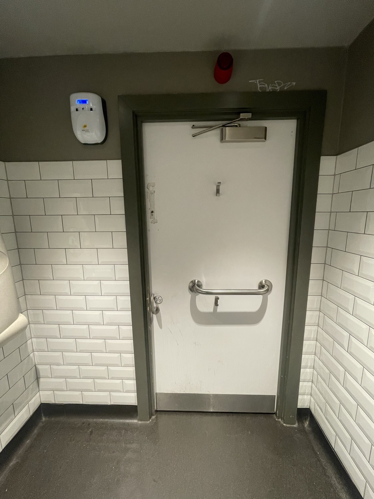 Back of bathroom door. Silver metal grabrail accross centre. Hooks at top and bottom centre. Push silver handle on left to open. Baby change on left.
