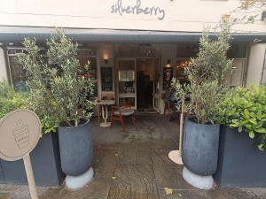 From street, facing venue. Opening ahead with planters on both sides. Doorway at back.