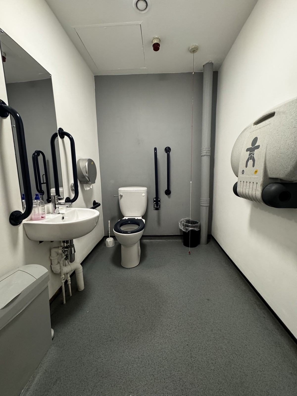 From door facing straight. Sink to left. Toilet to back left. Emergency cord to its right. Baby change to right.