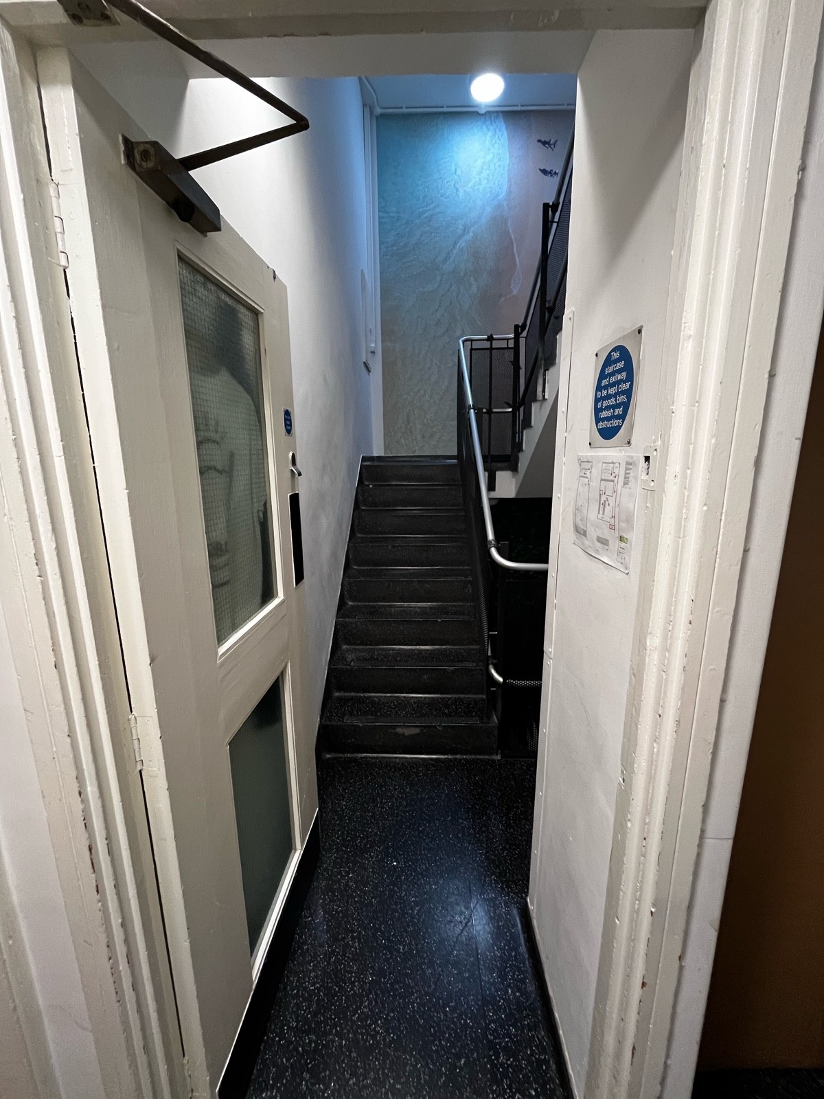 From open archway facing left. White and glass panelled door. Silver pad on right, push to open. First flight of stairs after, handrail along right.