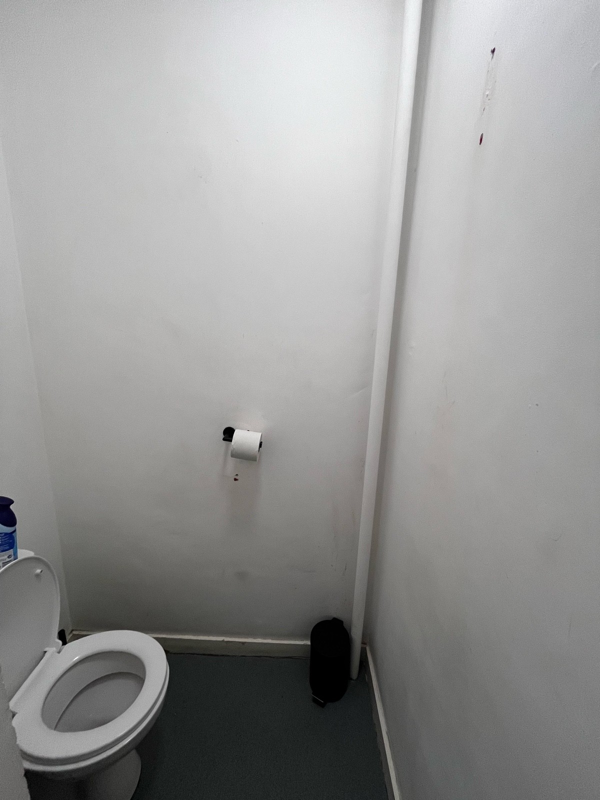 From stall door facing straight. Toilet on left.
